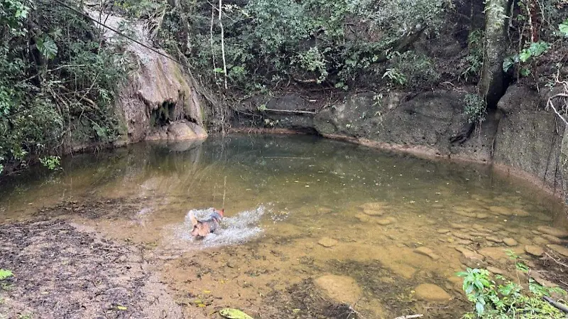 Pozas naturales parque tzimbac.